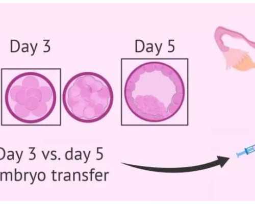 北京代生价钱,北京哪里可以做单身试管,北京哪里可以做试管呢
